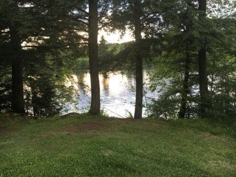 neature